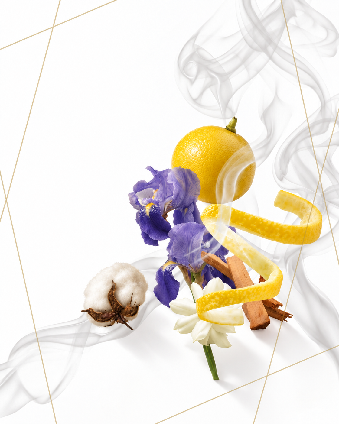 Scent notes of Cotton Air eau de parfum by AromaMeta — grapefruit, lemon, green accents, iris, white flowers, sandalwood, clean musk
